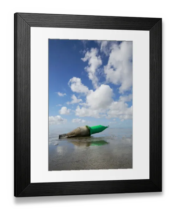 Framed Print : Buoy lying on the mudflats of the Wadden Sea, Texel, Noord-Holland, The Netherlands Framed Print : Buoy lying on the mudflats of the Wadden Sea, Texel, Noord-Holland, The Netherlands