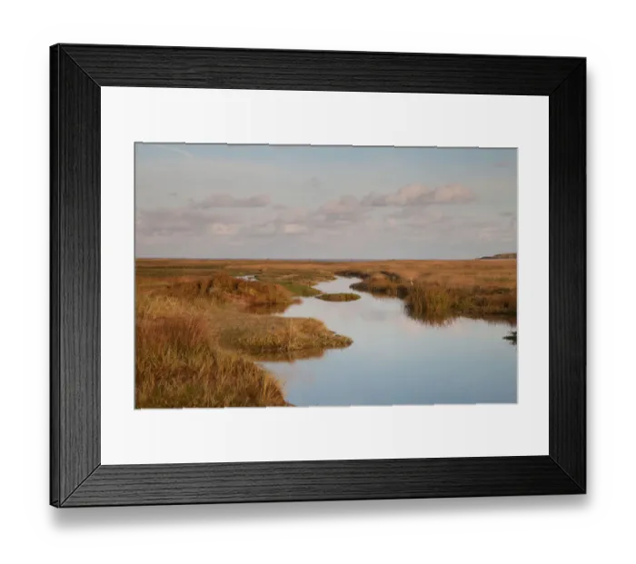 Framed Print : Grey Heron (Ardea cinerea) in landscape, Texel, Noord-Holland, The Netherlands Framed Print : Grey Heron (Ardea cinerea) in landscape, Texel, Noord-Holland, The Netherlands