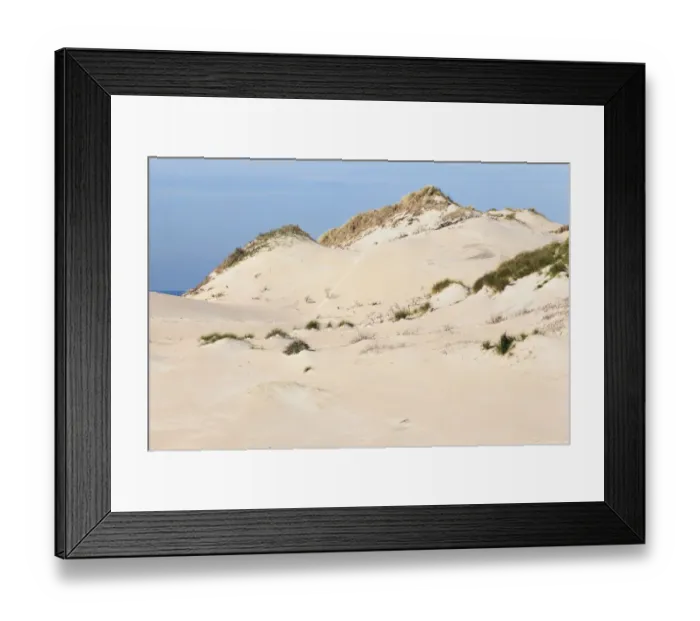 Framed Print : Dune formation, Zuid Kennemerland National Park, Noord-Holland, the Netherlands Framed Print : Dune formation, Zuid Kennemerland National Park, Noord-Holland, the Netherlands
