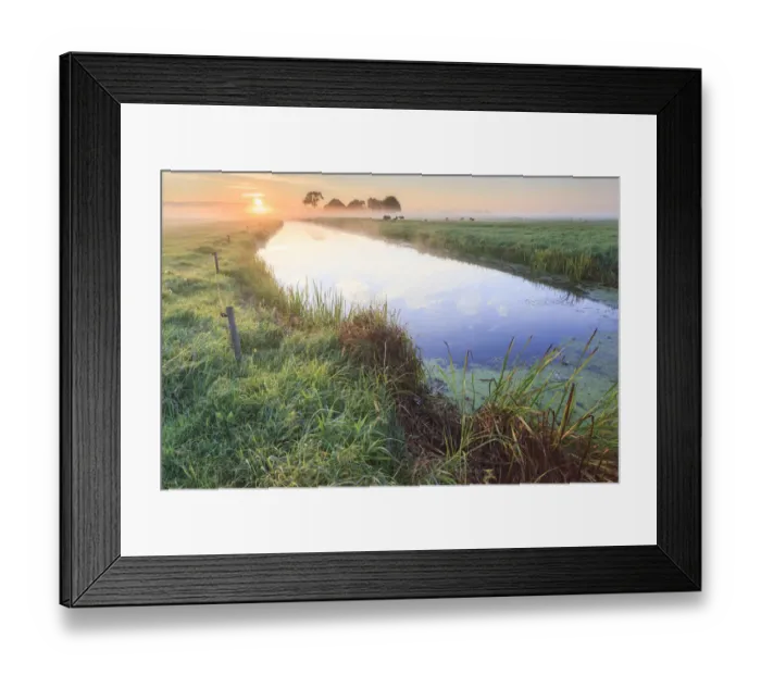 Framed Print : Ditch in misty meadow with group of Domestic Sheep (Ovis aries Framed Print : Ditch in misty meadow with group of Domestic Sheep (Ovis aries