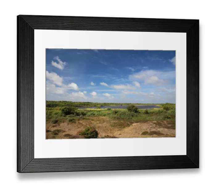 Framed Print : Coastal landscape of De Geul, Texel, Noord-Holland, The Netherlands Framed Print : Coastal landscape of De Geul, Texel, Noord-Holland, The Netherlands