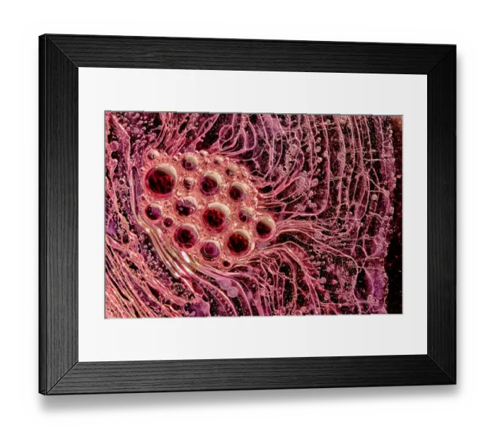 Framed Print : Bubbles at surface Framed Print : Bubbles at surface