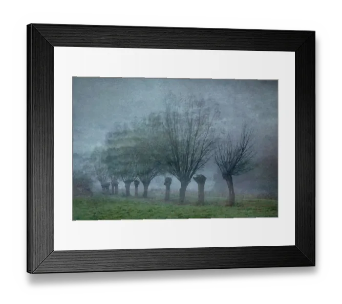 Framed Print : Moody landscape with pollared willows Framed Print : Moody landscape with pollared willows
