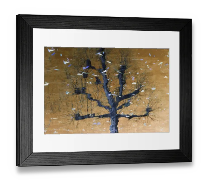 Framed Print : Artistic photograph of a tree reflected in the water Framed Print : Artistic photograph of a tree reflected in the water