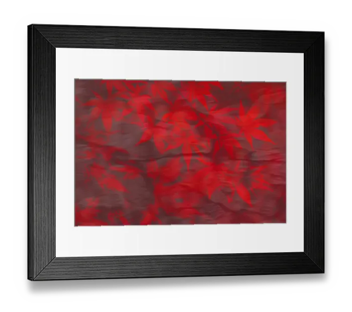 Framed Print : Artistic photograph of red autumn Acer leaves Framed Print : Artistic photograph of red autumn Acer leaves