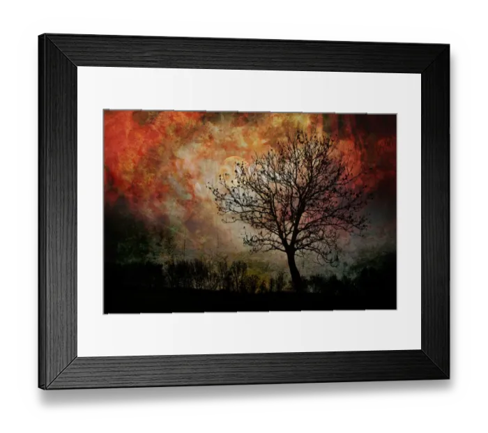 Framed Print : Artistic double exposure of the silhouette of a tree