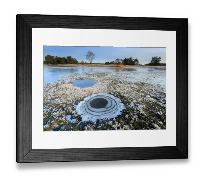 Framed Print : Frozen fen in a winter landscape, Buurserzand, Overijssel, The Netherlands Framed Print : Frozen fen in a winter landscape, Buurserzand, Overijssel, The Netherlands