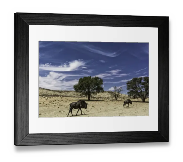 Framed Print : Northern Cape, South-Africa Framed Print : Northern Cape, South-Africa