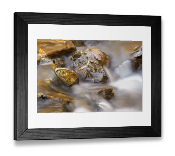 Framed Print : Rocks with autumn leaves in a mountain stream, Haute Savoie, France Framed Print : Rocks with autumn leaves in a mountain stream, Haute Savoie, France