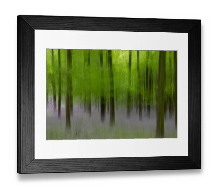 Framed Print : Bluebell Woods in May, Kent, Kent, England Framed Print : Bluebell Woods in May, Kent, Kent, England