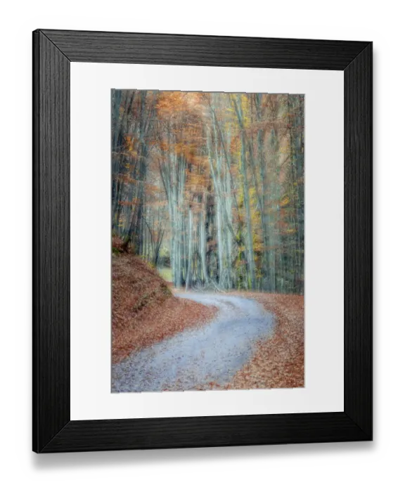 Framed Print : Small road trough forest with autumn colours, Haute-Savoie, France Framed Print : Small road trough forest with autumn colours, Haute-Savoie, France