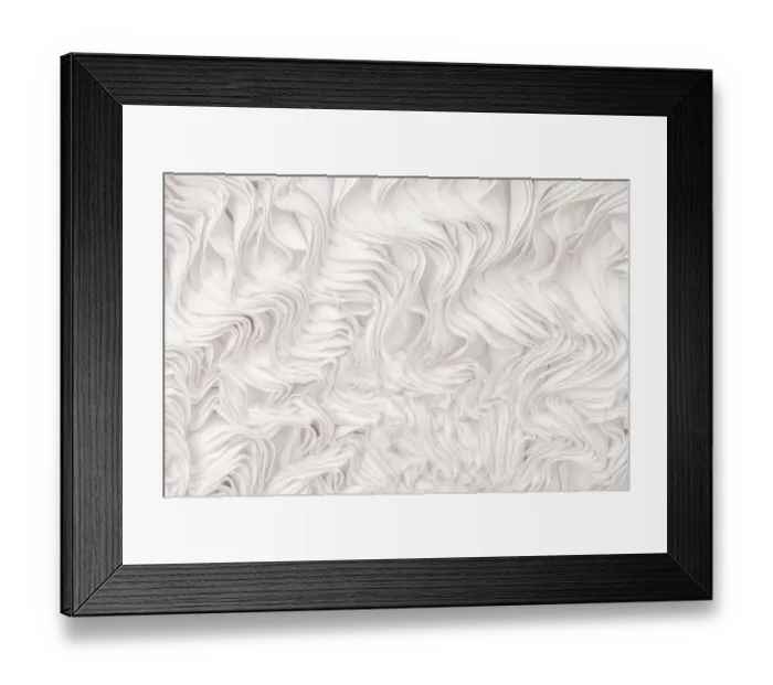 Framed Print : Artistic impression of wrinkled gills of a fallen Parasol Mushroom (Macrolepiota procera), Boekesteyn Estate, Noord-Holland, The Netherlands - Winner in the Plants and Fungi category of the Groene Camera 2021 photo contest Framed Print : Artistic impression of wrinkled gills of a fallen Parasol Mushroom (Macrolepiota procera), Boekesteyn Estate, Noord-Holland, The Netherlands - Winner in the Plants and Fungi category of the Groene Camera 2021 photo contest