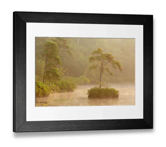 Framed Print : Landscape detail of Oisterwijkse bossen en vennen, The Netherlands, Noord-Brabant, Oisterwijkse bossen en vennen Framed Print : Landscape detail of Oisterwijkse bossen en vennen, The Netherlands, Noord-Brabant, Oisterwijkse bossen en vennen