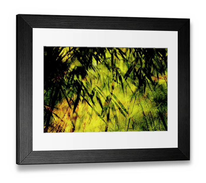 Framed Print : Double exposure of bamboo leaves and stalks, The Netherlands Framed Print : Double exposure of bamboo leaves and stalks, The Netherlands