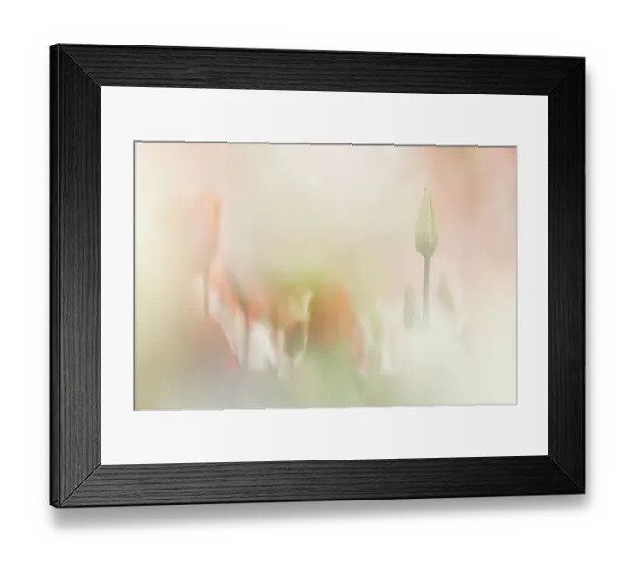 Framed Print : Artistic impression of a tulip field, The Netherlands Framed Print : Artistic impression of a tulip field, The Netherlands