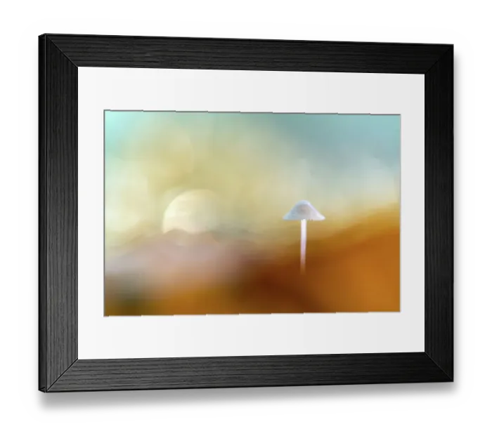 Framed Print : Abstract, dreamy shot of a Mycena sp. Mushroom in a mountain-like landscape, Leijduin, Noord-Holland, The Netherlands Framed Print : Abstract, dreamy shot of a Mycena sp. Mushroom in a mountain-like landscape, Leijduin, Noord-Holland, The Netherlands