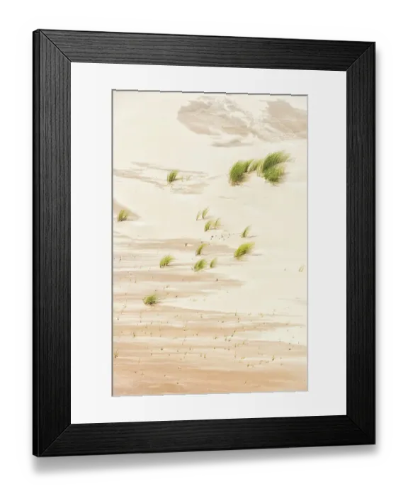 Framed Print : Beachgrass growing in the dunes, Kennemerduinen, Noord-Holland, The Netherlands Framed Print : Beachgrass growing in the dunes, Kennemerduinen, Noord-Holland, The Netherlands