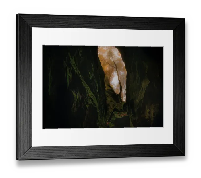 Framed Print : Unidentified Linden (Tilia sp.) tree hidden in a gorge, Teufelsschlucht, Irrel, Eifelkreis Bitburg-Prum, Rhineland-Palatinate, Germany - Highly Commended in the Landscape category of the ASFERICO 2022 photo contest Framed Print : Unidentified Linden (Tilia sp.) tree hidden in a gorge, Teufelsschlucht, Irrel, Eifelkreis Bitburg-Prum, Rhineland-Palatinate, Germany - Highly Commended in the Landscape category of the ASFERICO 2022 photo contest