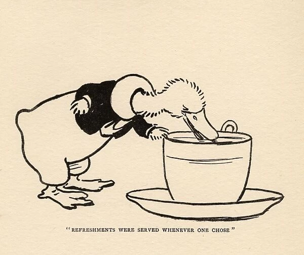 Duck drinking from a large cup