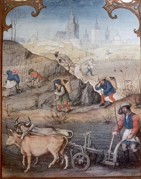 Farmers plowing and sowing. Late 15th century. Italy