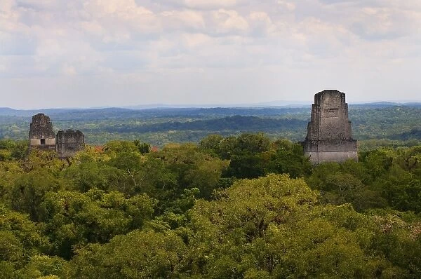 Guatemala. Tikal. Tikal National Park