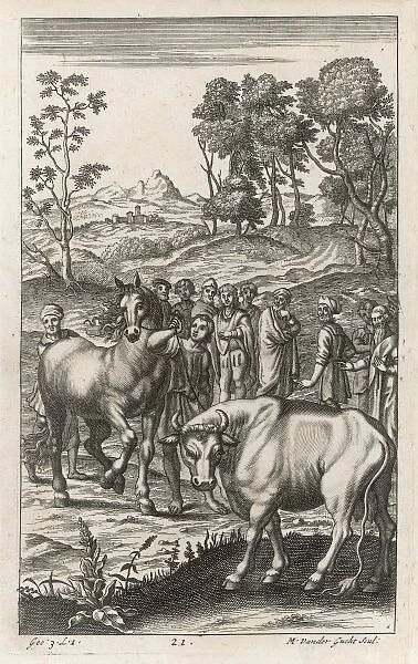 Roman Farmers  /  Livestock