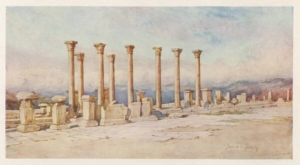 Timgad Ruins - Forum