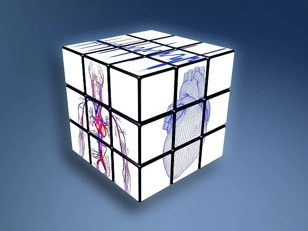 Cardiovascular system on Rubiks cube