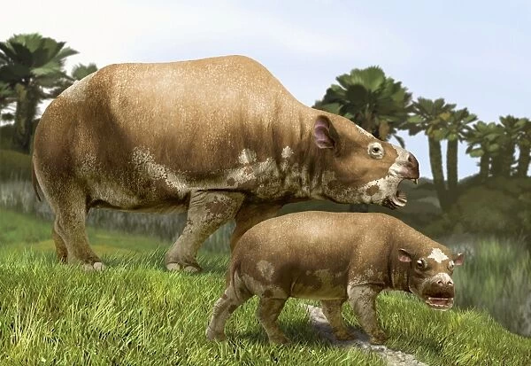 Toxodon, extinct mammal