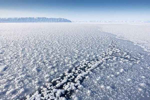 Frost flowers formed on thin sea ice when the atmosphere is much colder than the underlying ice