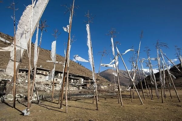 Prayer flags at the small village of Chebisa in northern Bhutan on the Laya-Gasa trekking route