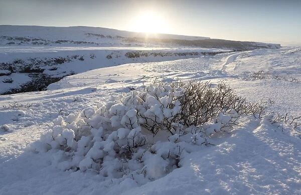 Snow-covered winter landscape near Gullfoss Waterfall, Iceland, Polar Regions