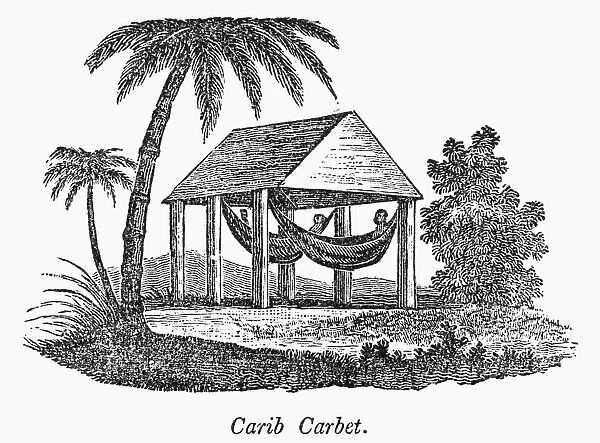 CARIBS: CARBET. Carbet and hammocks of the Carib Indians. Line engraving, 19th century