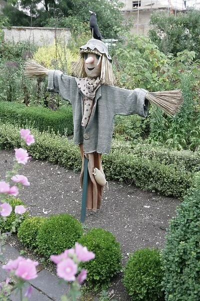 Scarecrow. A Scarecrow in the Vegetable garden at Barnsley House hotel