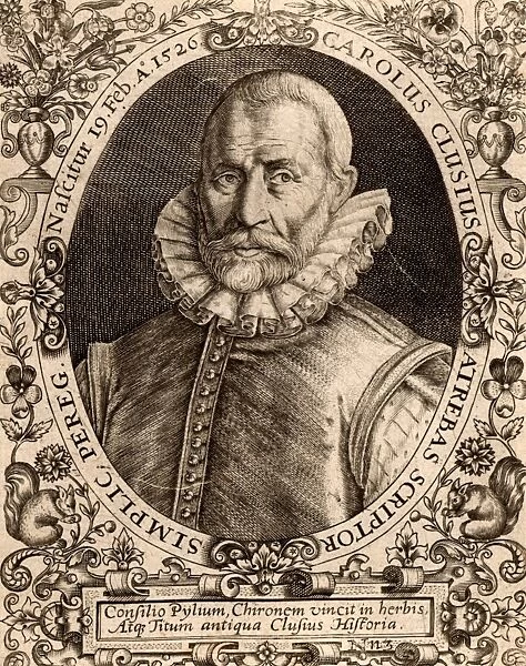 Carolus Clusius (Charles l Escluse) (1526-1609). French botanist, professor of