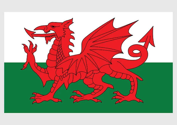 Illustration of national flag of Wales, with red dragon passant on green and white field