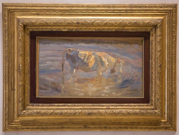 Cow, 1898 (oil on canvas)