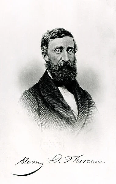 Henry David Thoreau (1817-62) (engraving) (b  /  w photo)