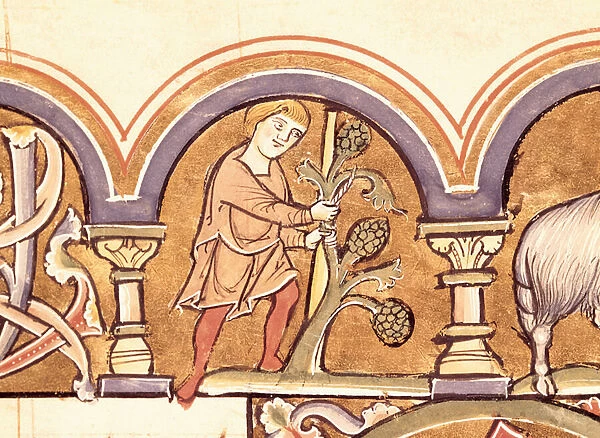 March: Grafting Trees, from the Psalter of St. Elizabeth (vellum)