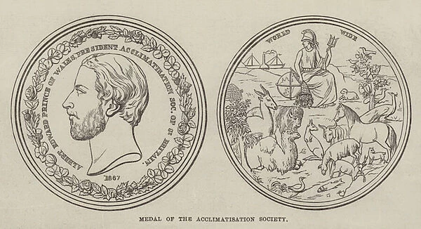 Medal of the Acclimatisation Society (engraving)