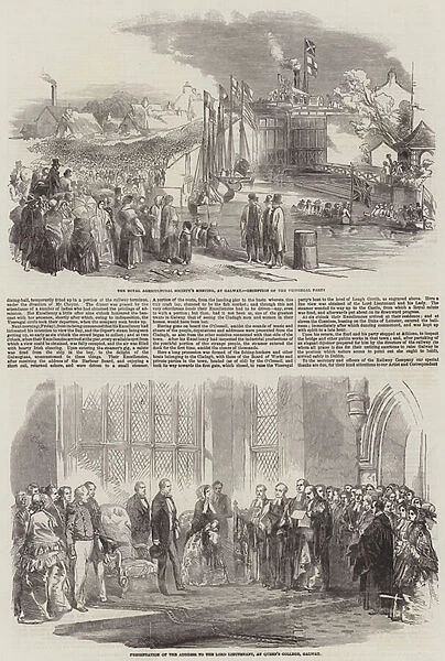 Meeting of the Royal Agricultural Show at Galway (engraving)