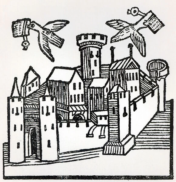 Pigeon Post, 1488 (woodcut) (b  /  w photo)