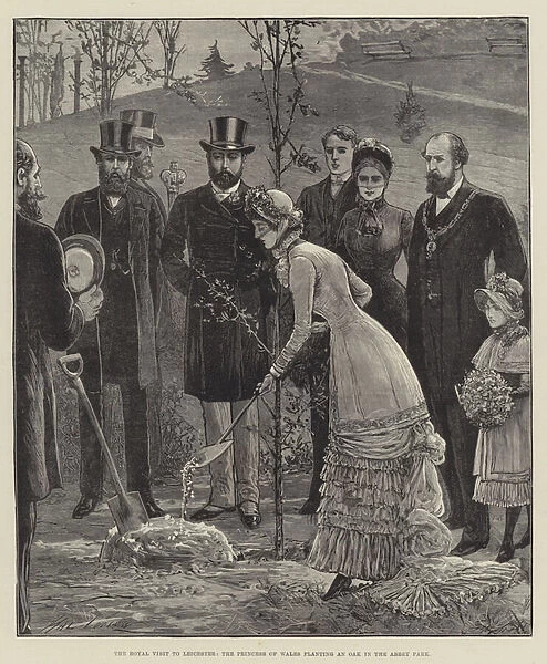 The Royal Visit to Leicester, the Princess of Wales planting an Oak in the Abbey Park (engraving)