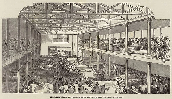 The Smithfield Club Cattle-Show, the New Department for Extra Stock, etc (engraving)