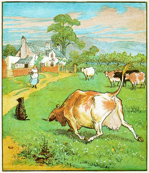 'This the cow with the crumpled horn that tossed the dog'