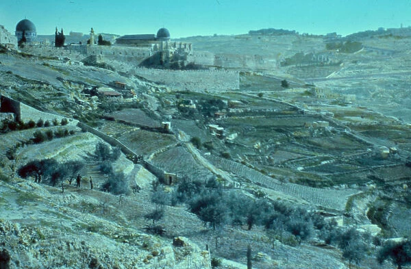 Hill Ophel 1950 Jerusalem Israel