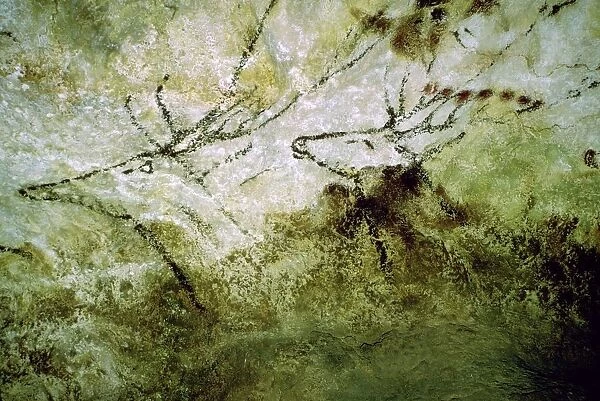 Cave-painting of swimming deer from Lascaux, c15000 BC