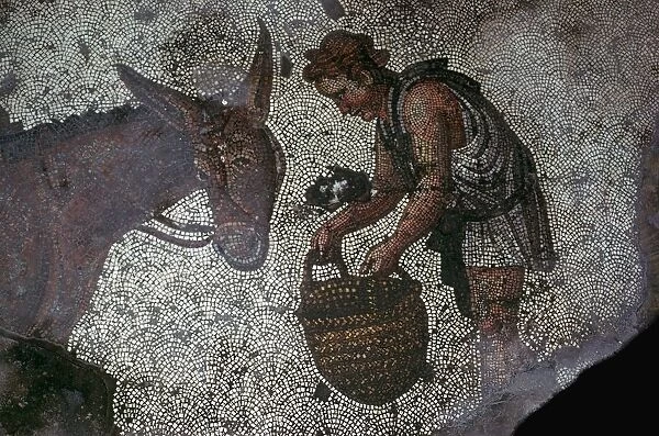 Detail of a floor mosaic in the Great Palace in Istanbul, 6th century