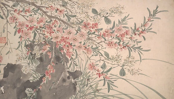 Garden Flowers, dated 1540. Creator: Unknown
