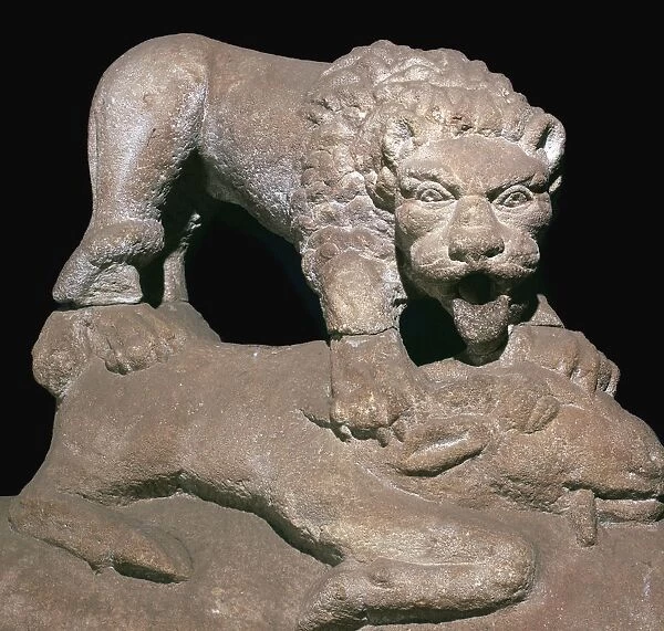 The `Romano-British Corbridge Lion, 2nd century